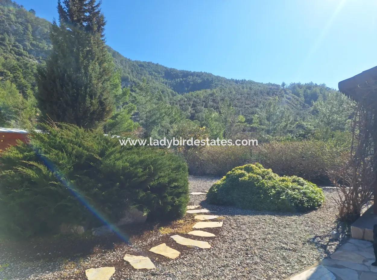 Dalaman, Akkaya Vadisi - Güzel 3 Yatak Odalı Bungalov