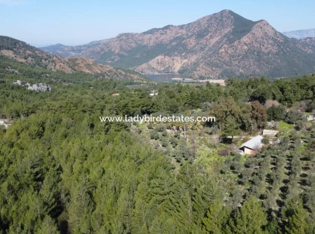 Dalaman, Akkaya Vadisi - Güzel 3 Yatak Odalı Bungalov