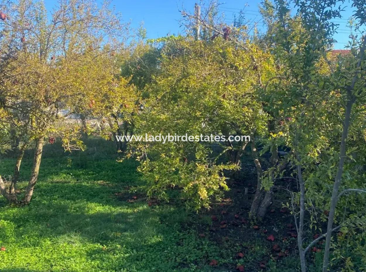 Dalaman Merkez Mah. 905 M2 Satılık Arsa