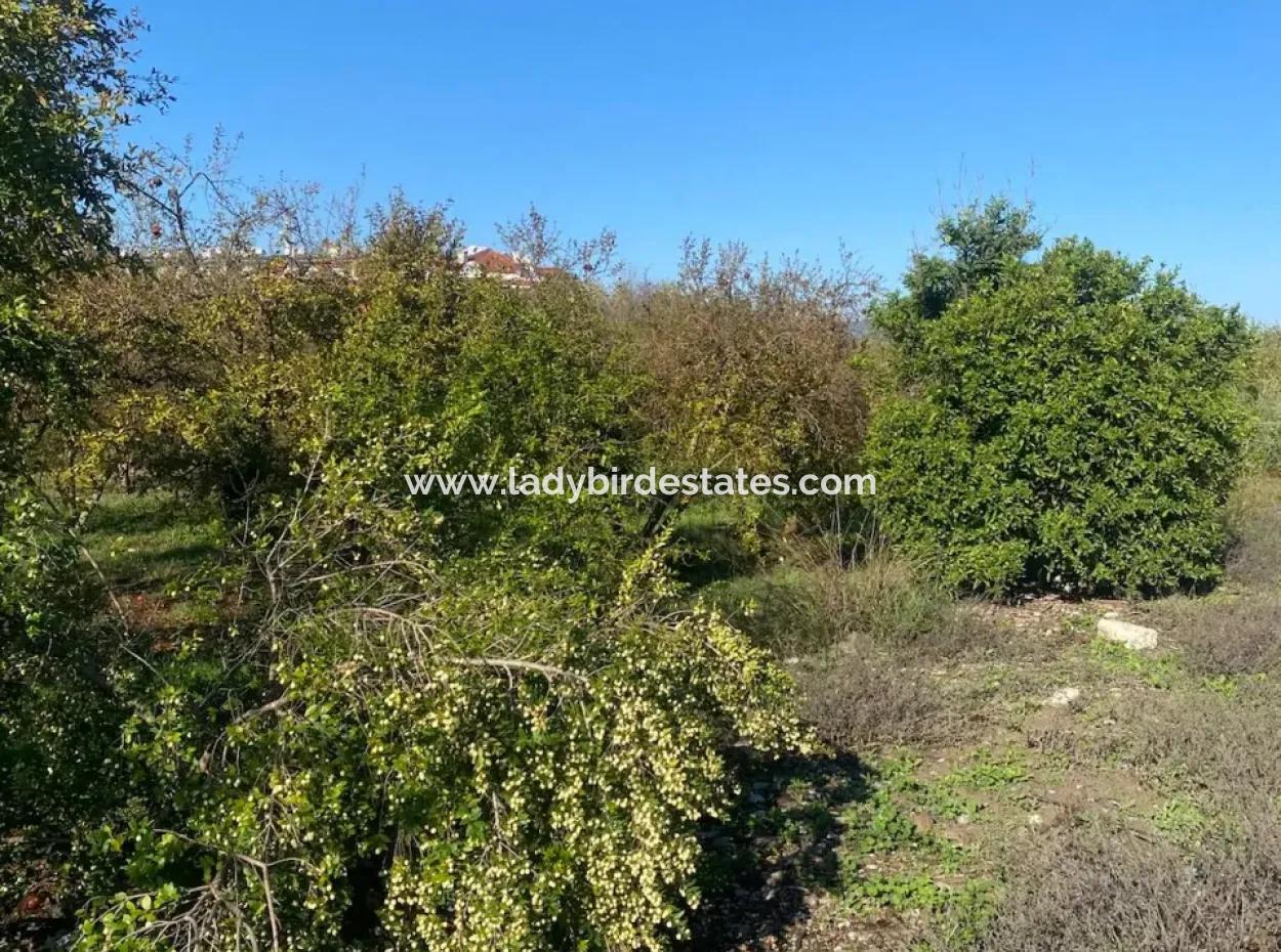 Dalaman Merkez Mah. 905 M2 Satılık Arsa