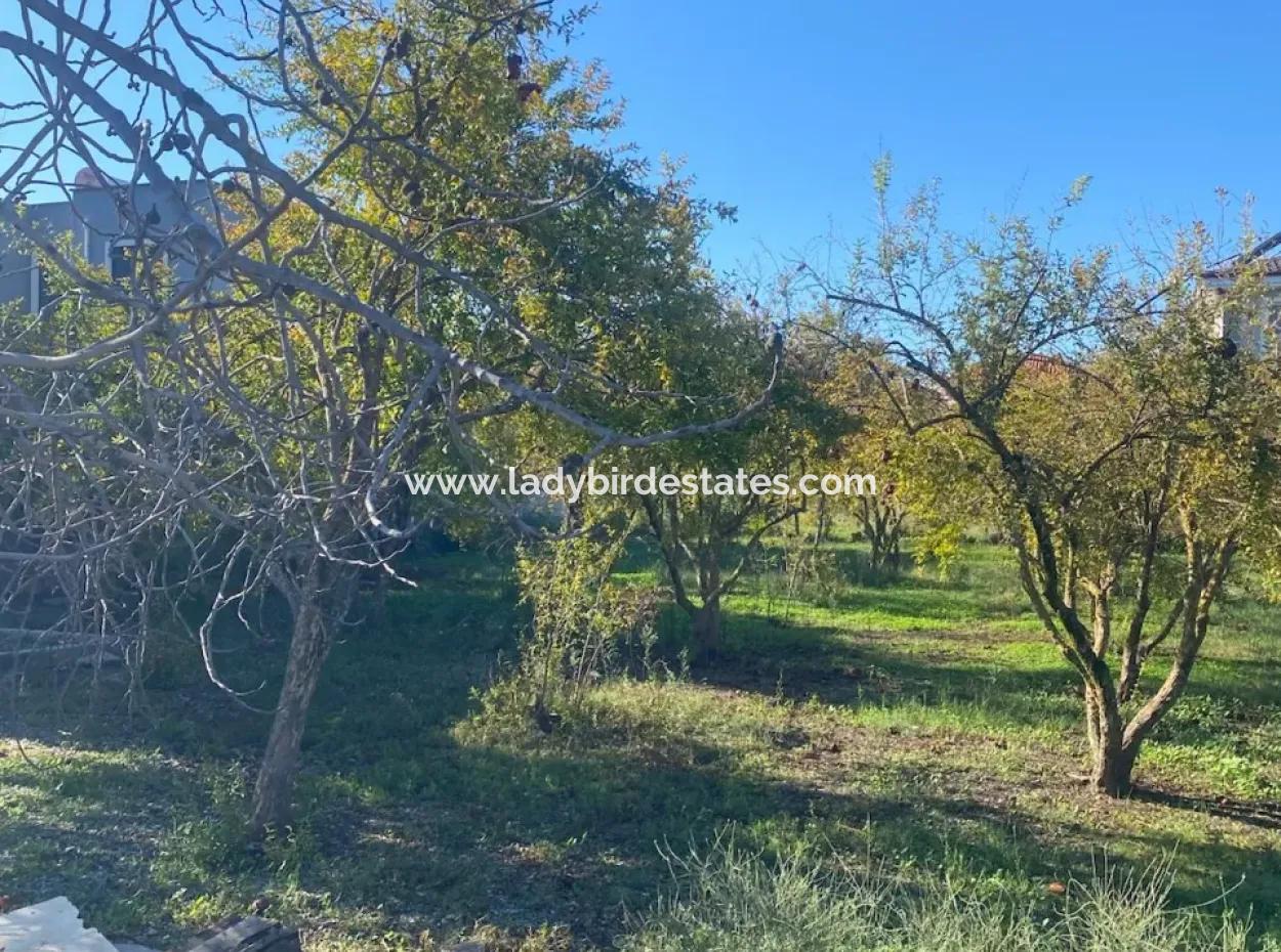 Dalaman Merkez Mah. 905 M2 Satılık Arsa