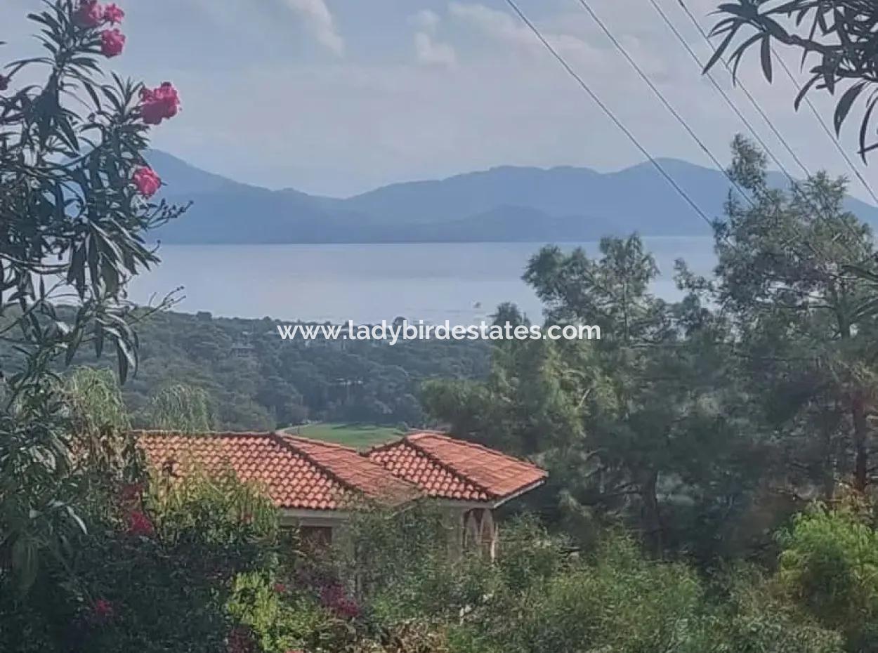 Sarıgerme De Deniz Manzaralı Satılık Zeytinlik