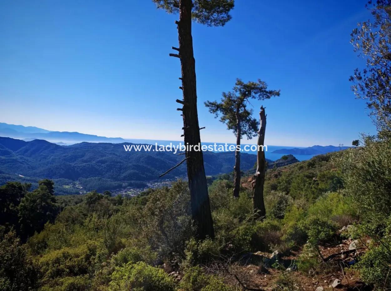 Göcek Gökçeovacık Mevkiin De Satılık Tarla