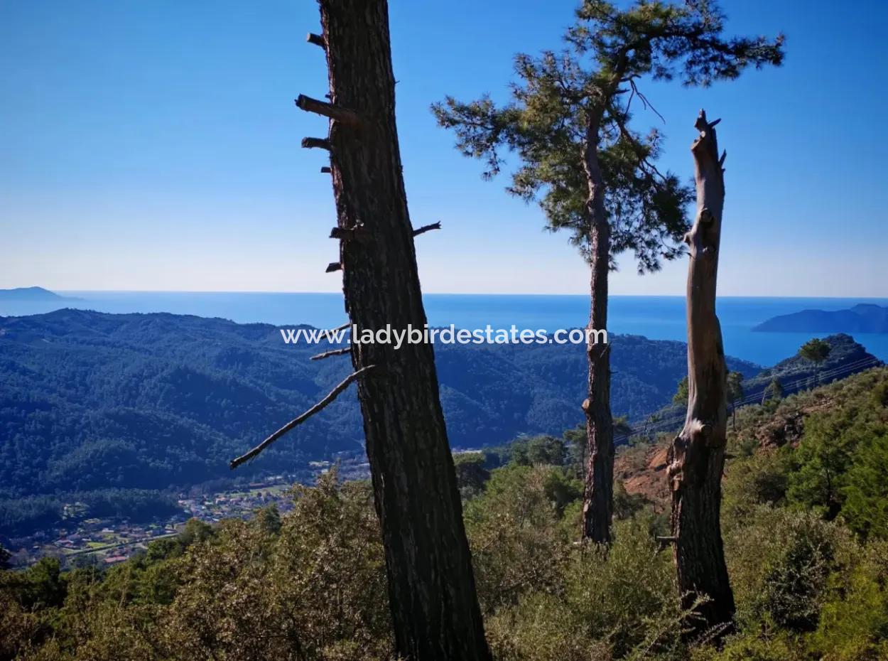 Göcek Gökçeovacık Mevkiin De Satılık Tarla
