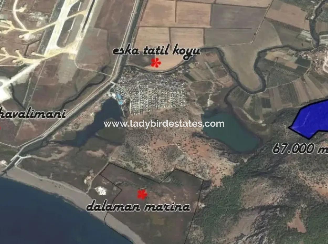 Dalaman Kapukargın Mahallesinde Satılık 67.200 M2 Zeytinlik