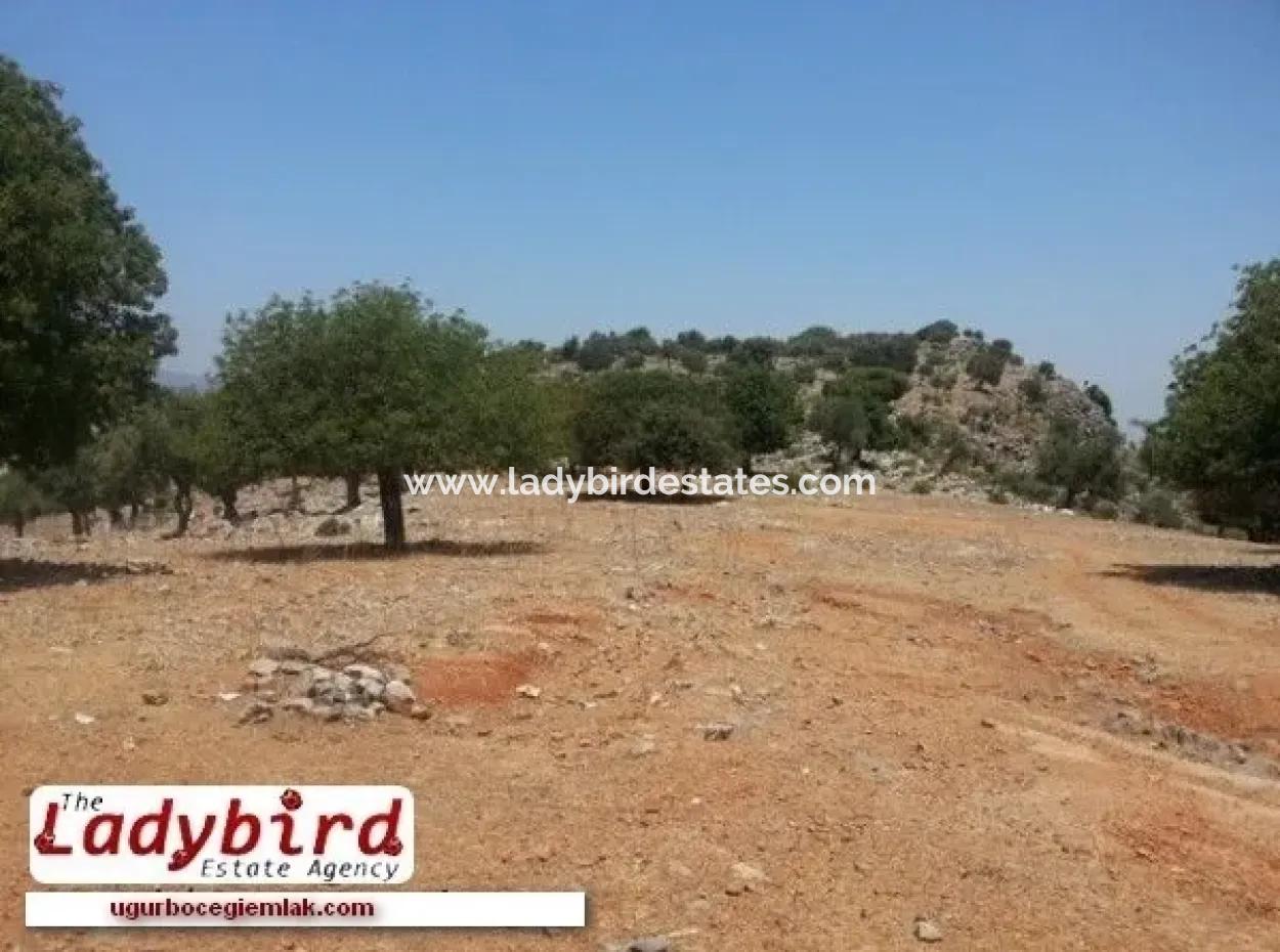 Dalaman İncebel Mevkisinde Satılık 452 M2 Arsa