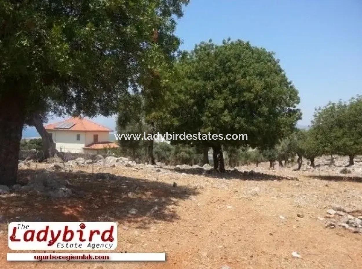 Dalaman İncebel Mevkisinde Satılık 452 M2 Arsa