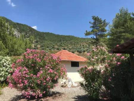 Akkaya Taşlıburunda Kiralık Villa