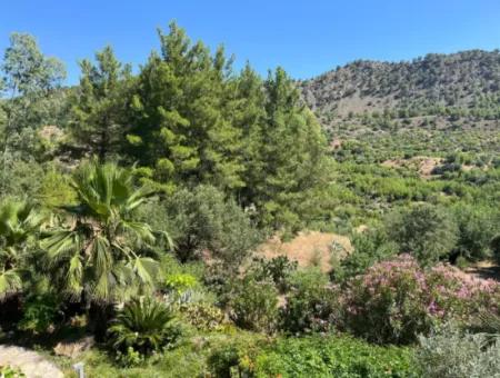 Dev Fırsat!! 5.550M2 Arsa İçerisinde Doğa Harikası 4+1 Satılık Villa