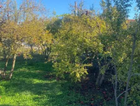 Dalaman Merkez Mah. 905 M2 Satılık Arsa