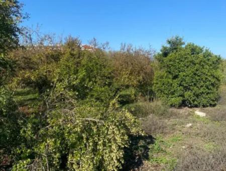 Dalaman Merkez Mah. 905 M2 Satılık Arsa