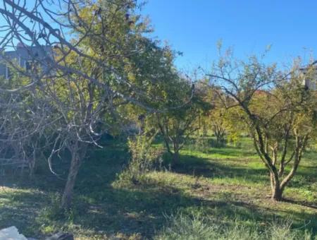 Dalaman Merkez Mah. 905 M2 Satılık Arsa