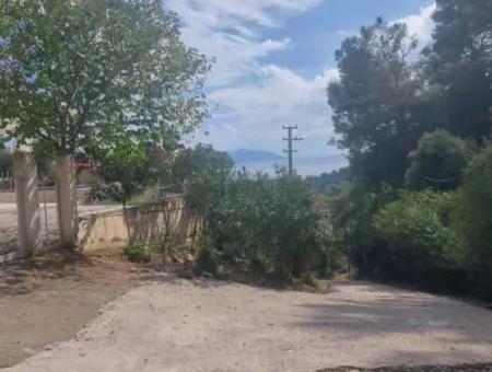 Sarıgerme De Deniz Manzaralı Satılık Zeytinlik