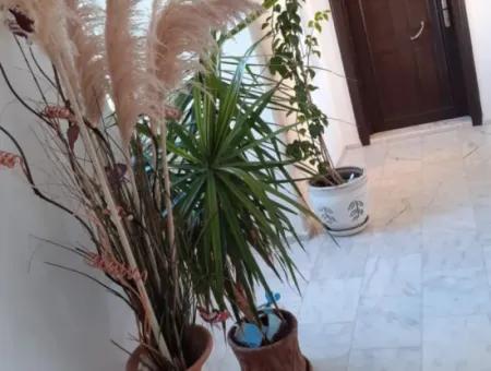 Dalaman Günlüklü Sitesin De Havuzlu Satılık Daire