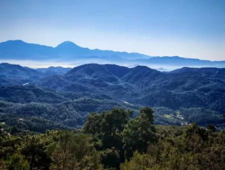 Göcek Gökçeovacık Mevkiin De Satılık Tarla